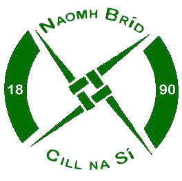 St. Brigids GAA, Killashee